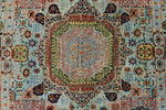 5x7 Blue and Multicolor Traditional Rug
