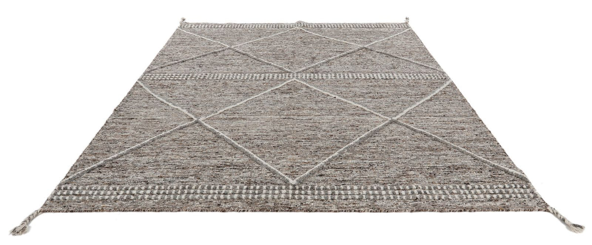 8x10 Brown and Beige Anatolian Traditional Rug