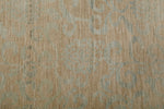 9x10 Ivory and Beige Traditional Rug