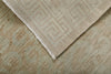 9x10 Ivory and Beige Traditional Rug