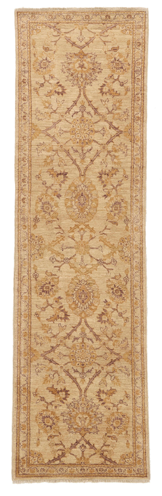 3x9 Beige and Brown Anatolian Traditional Rug