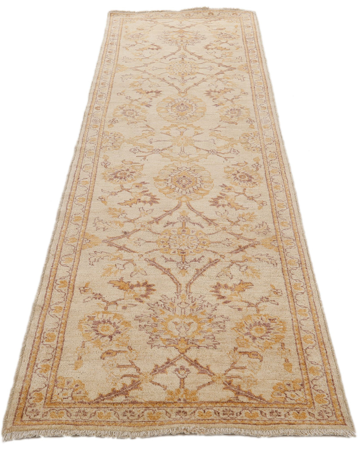 3x9 Beige and Brown Anatolian Traditional Rug