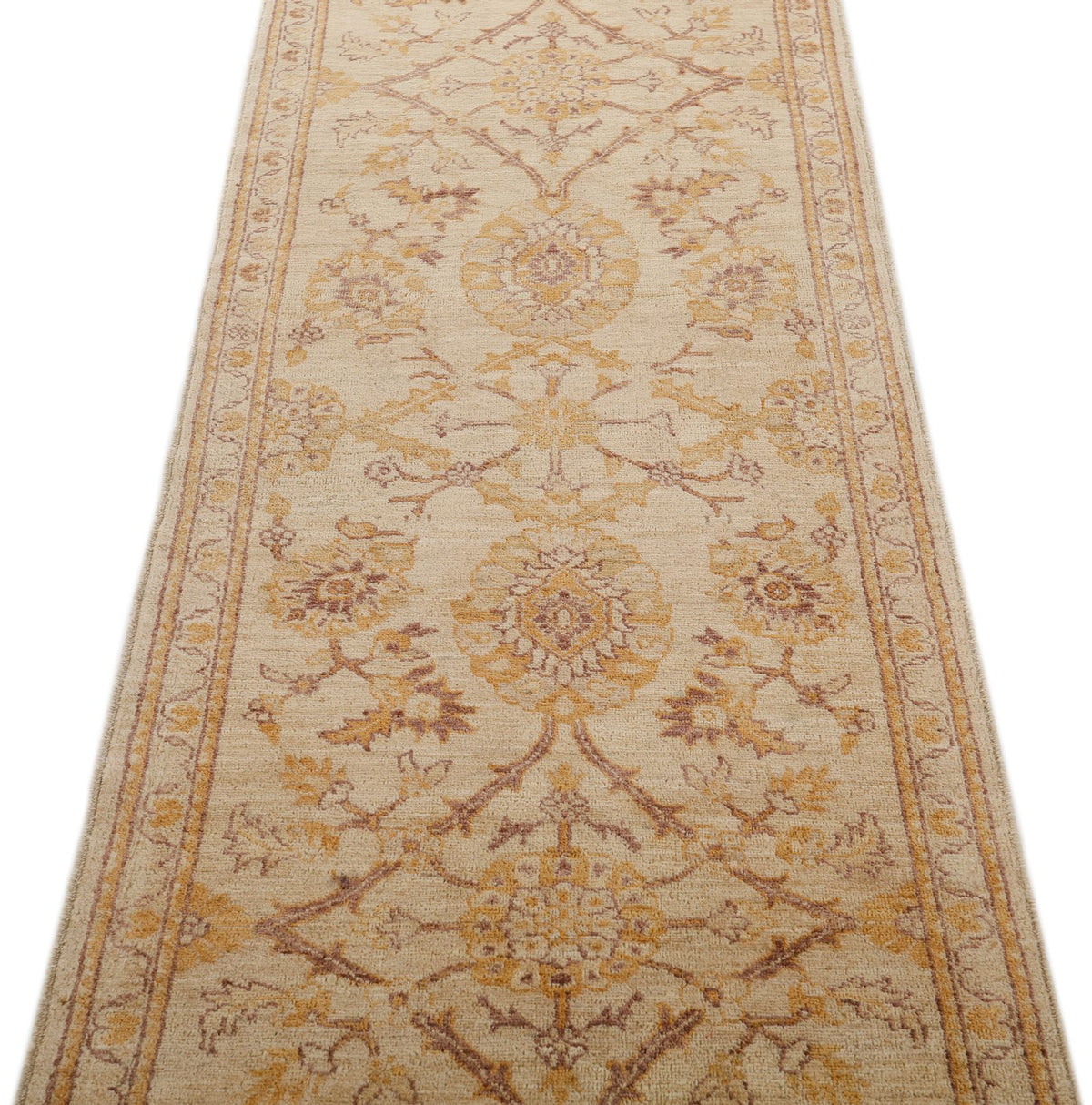 3x9 Beige and Brown Anatolian Traditional Rug