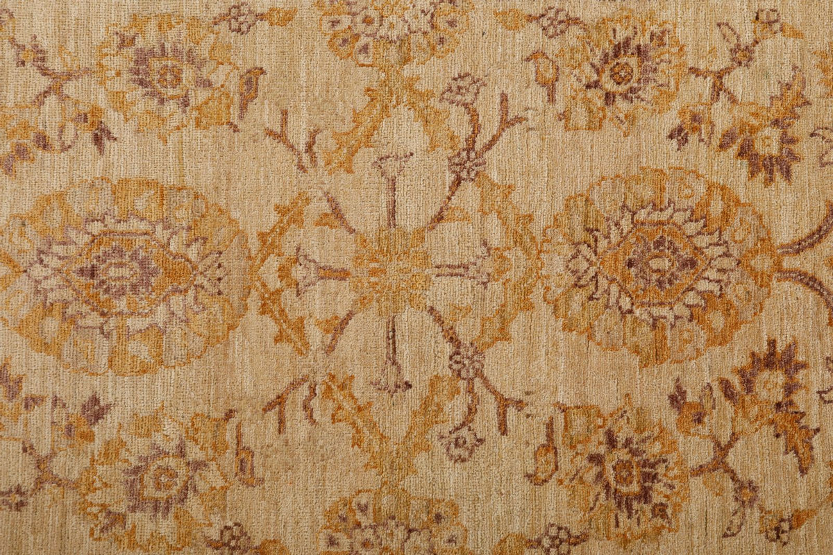 3x9 Beige and Brown Anatolian Traditional Rug