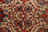 10x14 Ivory and Red Anatolian Traditional Rug