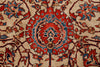 10x14 Ivory and Red Anatolian Traditional Rug