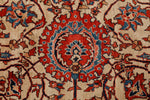 10x14 Ivory and Red Anatolian Traditional Rug