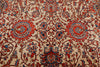 10x14 Ivory and Red Anatolian Traditional Rug