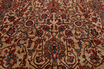10x14 Ivory and Red Anatolian Traditional Rug