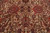 10x14 Ivory and Red Anatolian Traditional Rug