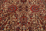 10x14 Ivory and Red Anatolian Traditional Rug