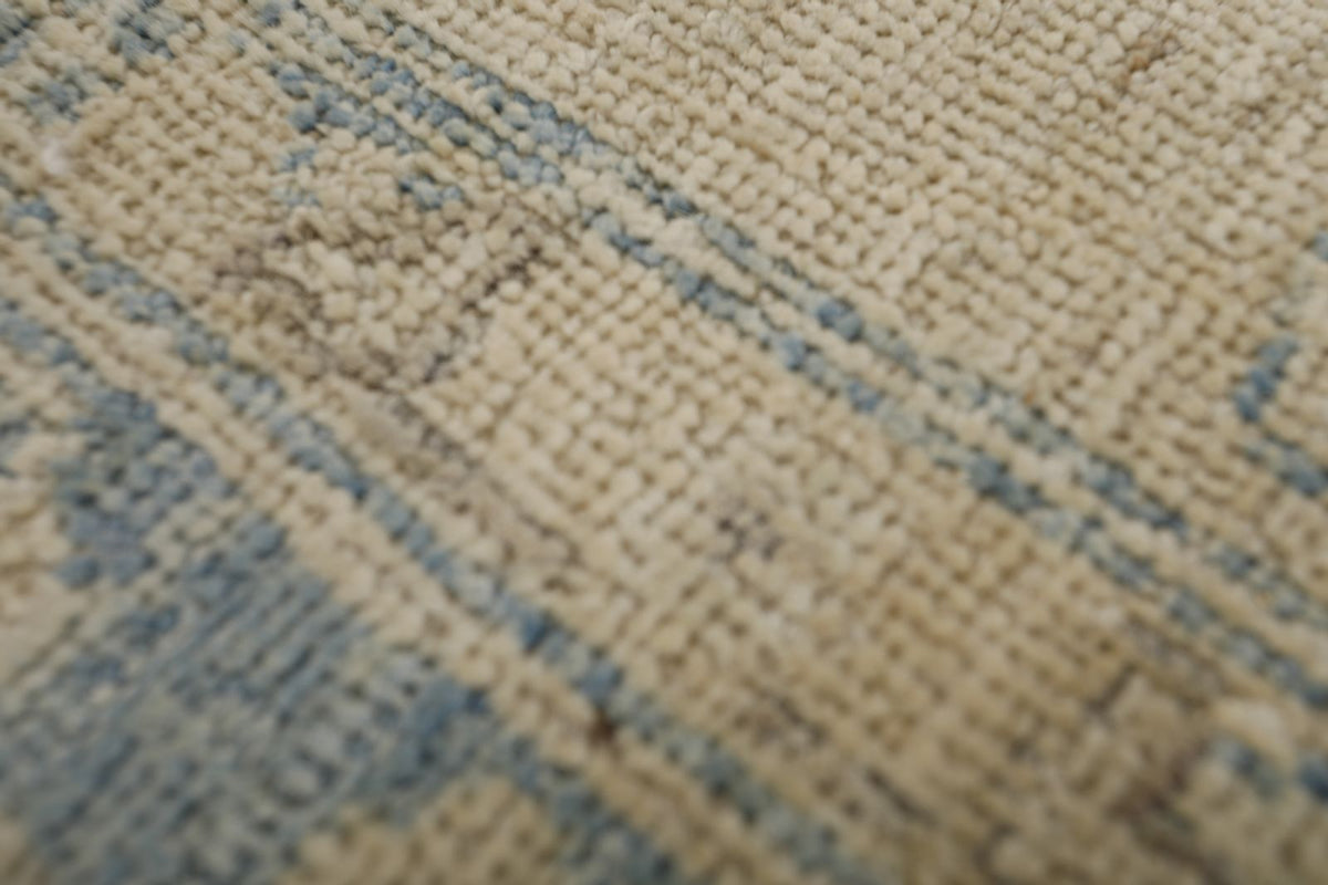 9x11 Ivory and Beige Anatolian Traditional Rug