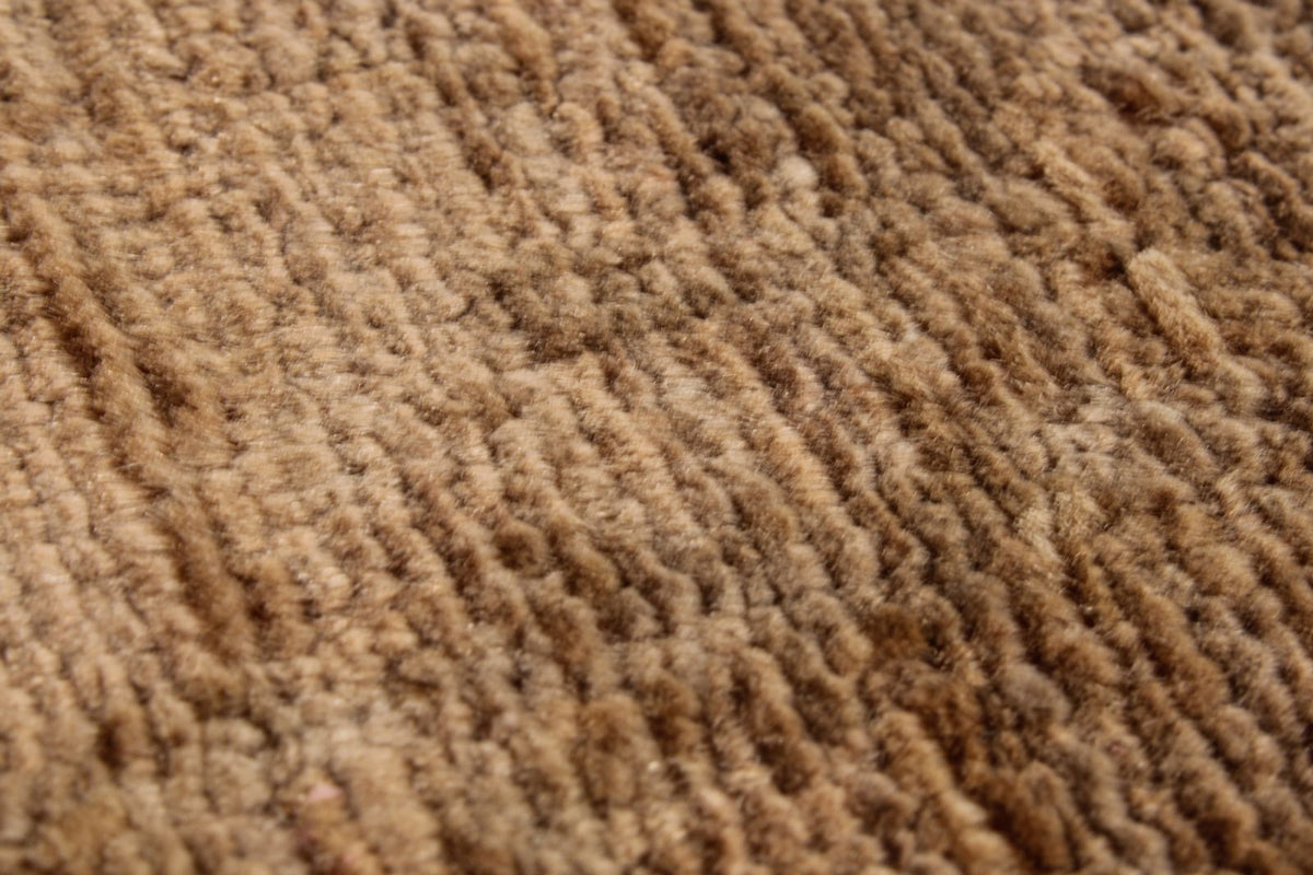 4x6 Beige and Brown Anatolian Traditional Rug
