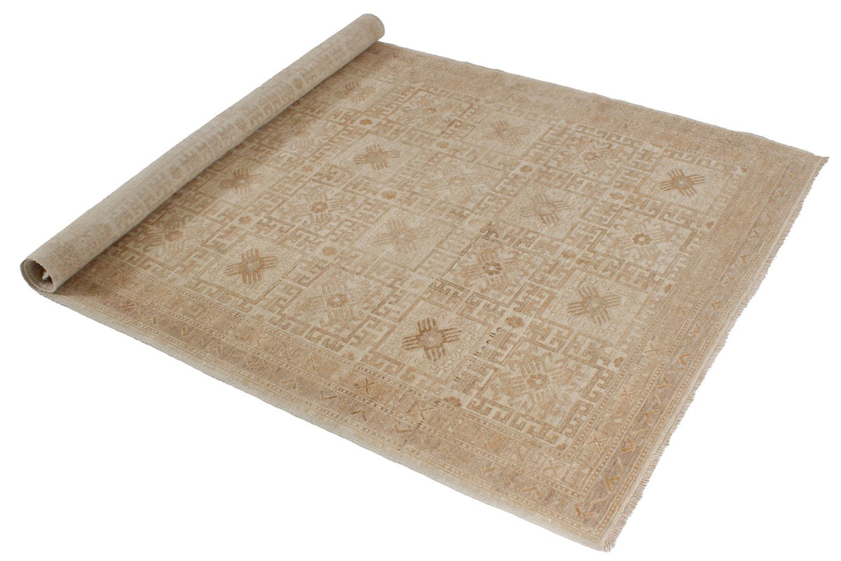 4x6 Ivory Traditional Rug