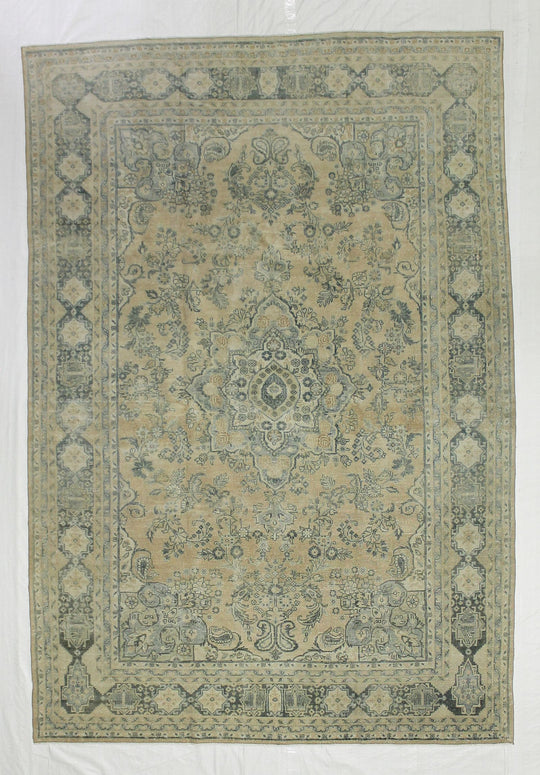 7x10 Peach and Green Persian Traditional Rug
