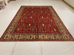 8x11 Beige and Red Kazak Tribal Rug