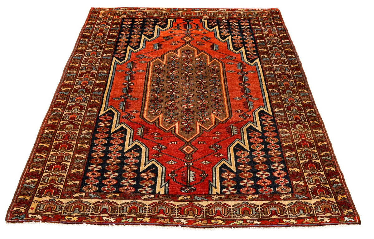 4x6 Brown and Rust Persian Tribal Rug