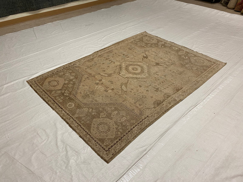 5x7 Beige and Brown Persian Rug