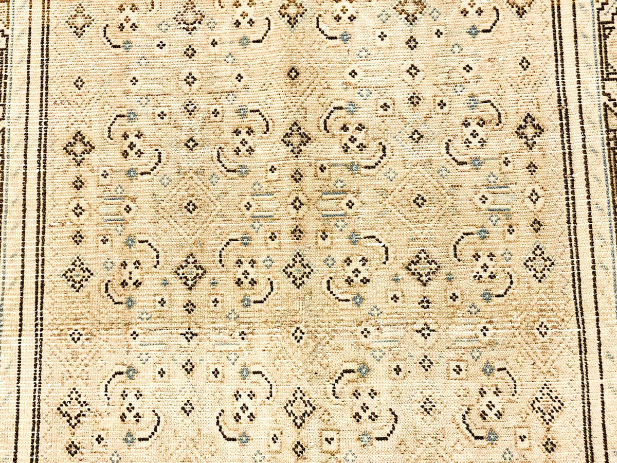 3x11 Ivory and Brown Persian Rug