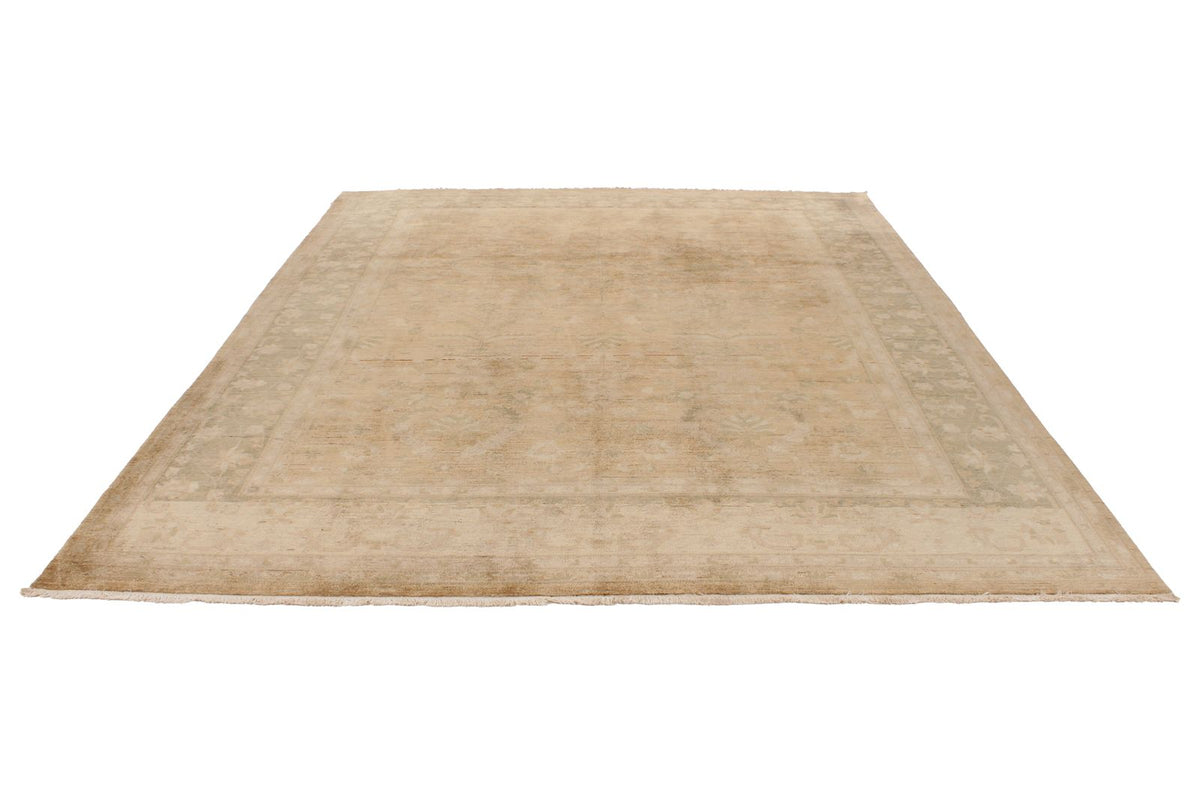 9x11 Brown and Beige Turkish Traditional Rug