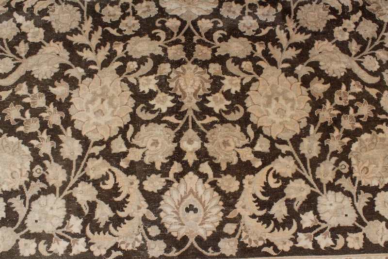 10x14 Beige and Brown Persian Traditional Rug