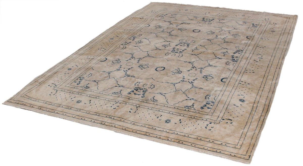 6x9 Beige and Blue Persian Traditional Rug