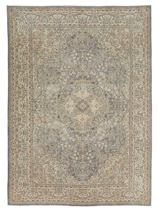 9x12 Brown and Beige Traditional Rug