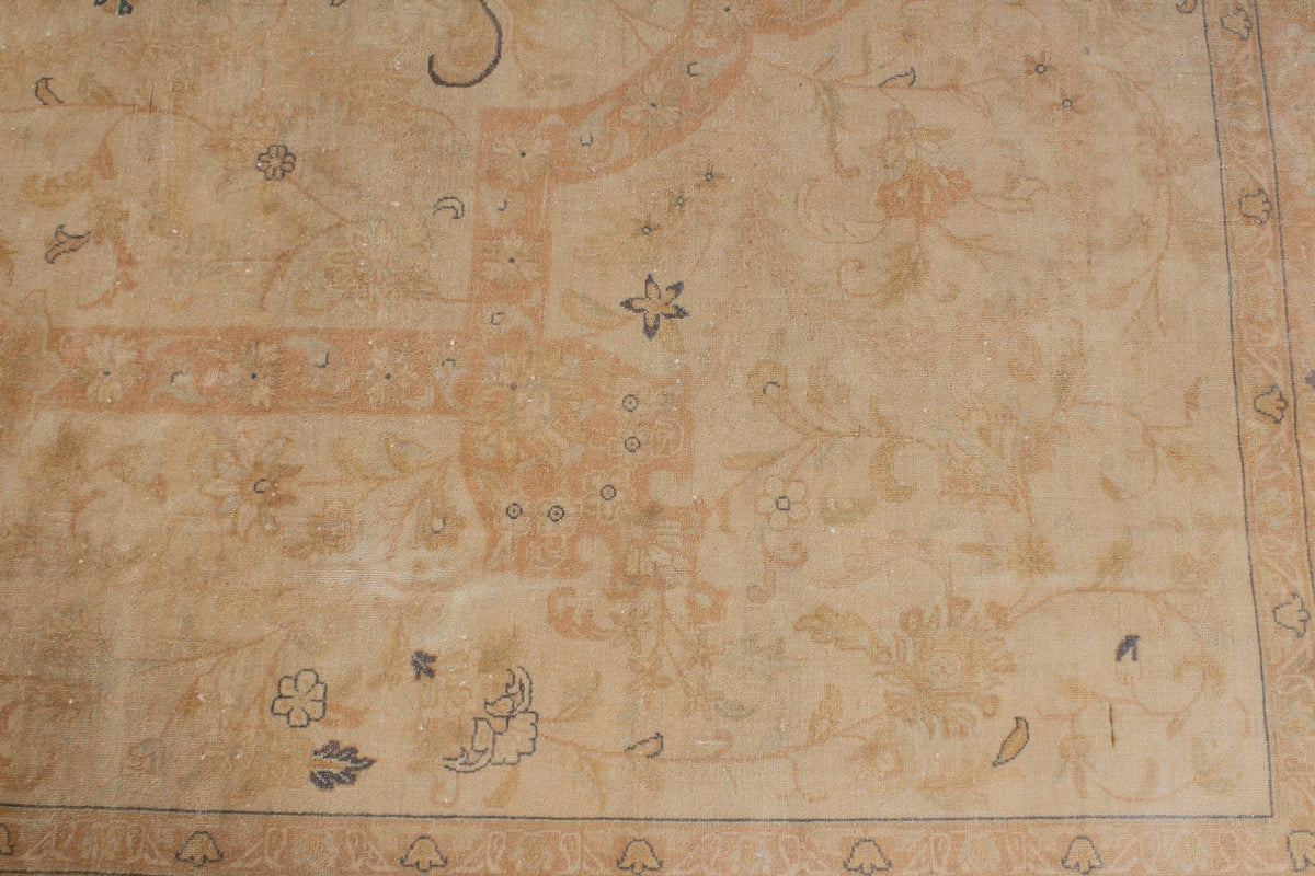 9x18 Beige and Rust Persian Traditional Runner