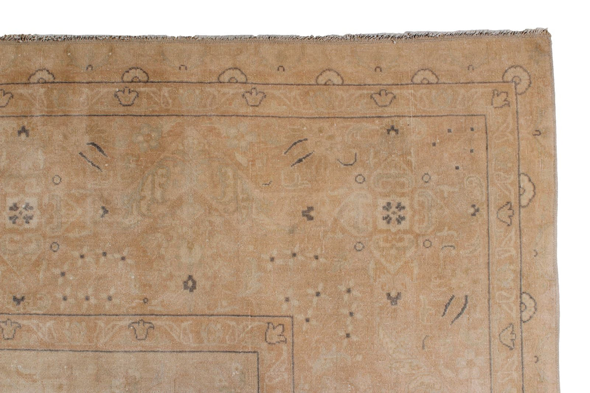 9x18 Beige and Rust Persian Traditional Runner