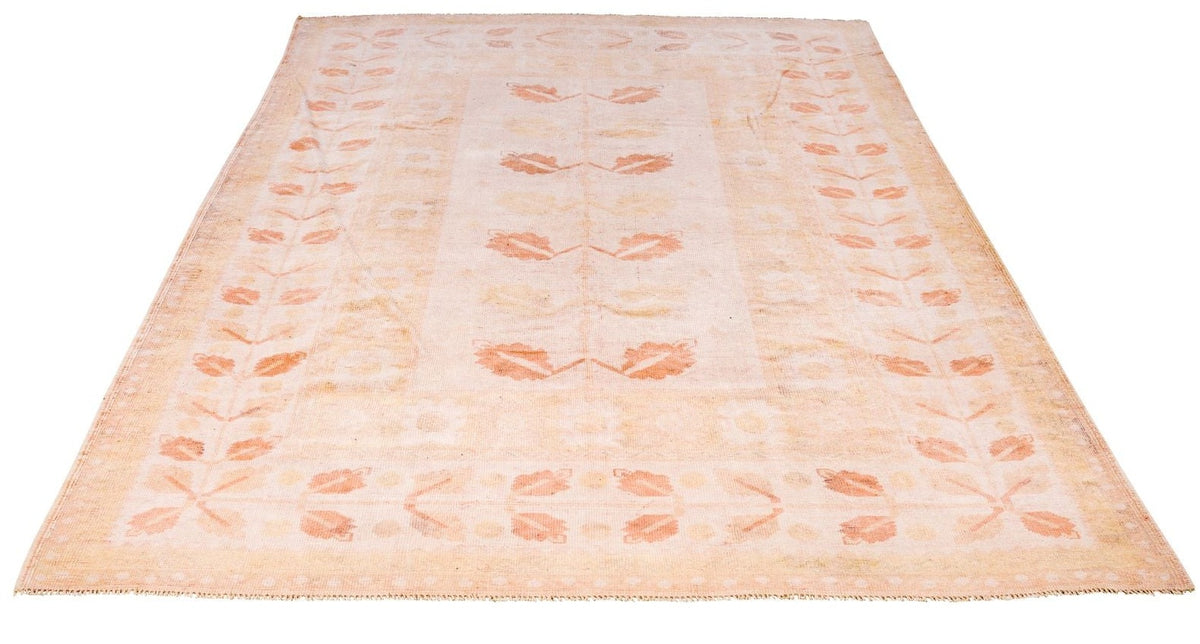 6x9 Beige and Rust Traditional Rug