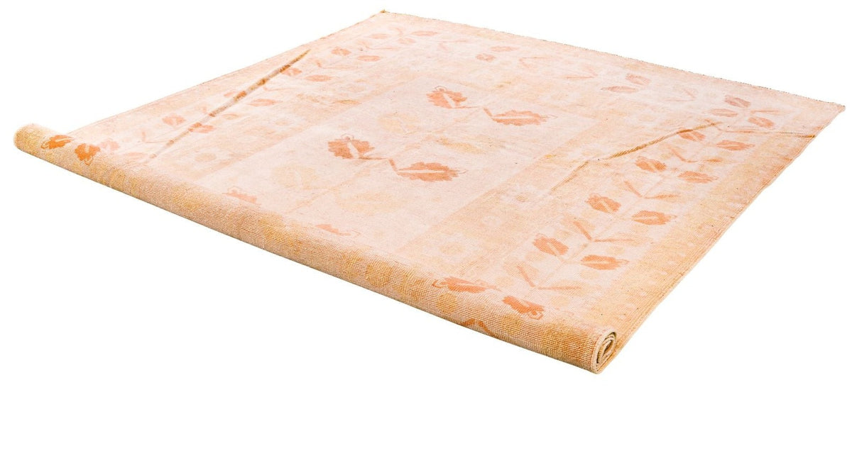 6x9 Beige and Rust Traditional Rug