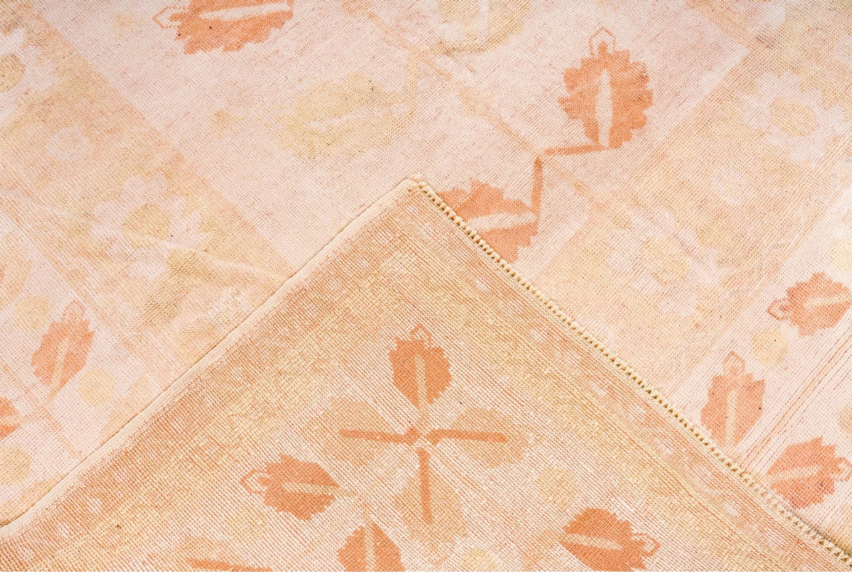 6x9 Beige and Rust Traditional Rug