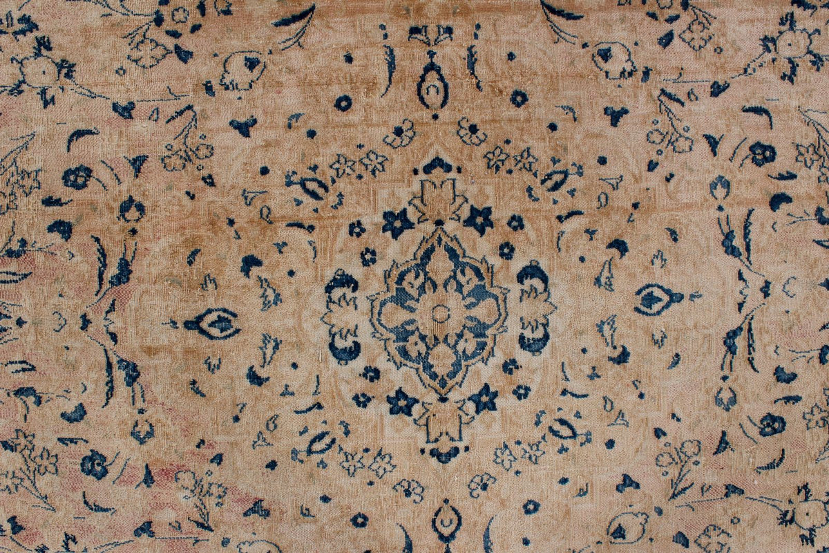 9x12 Beige and Blue Persian Traditional Rug