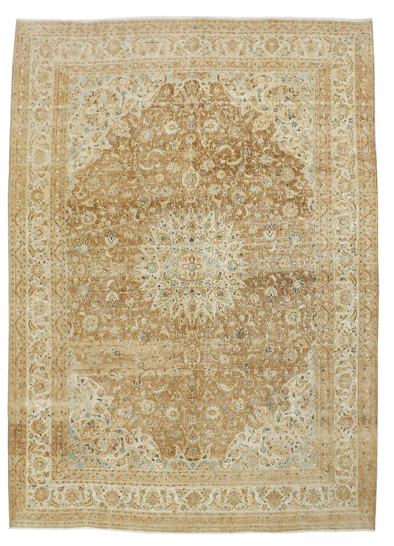 8x11 Brown and Ivory Persian Traditional Rug